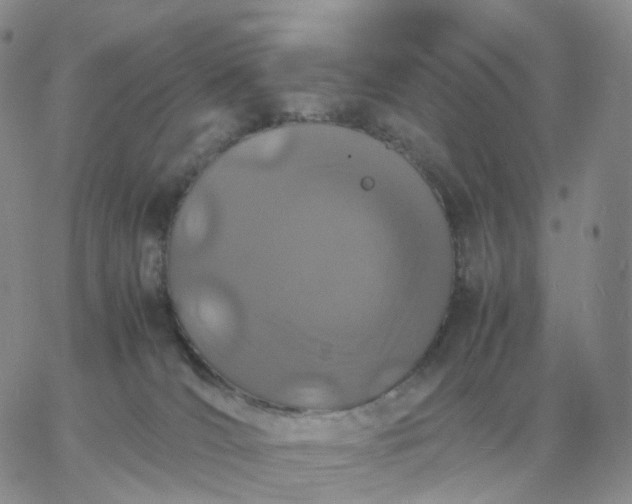 X0000060770036200511241805