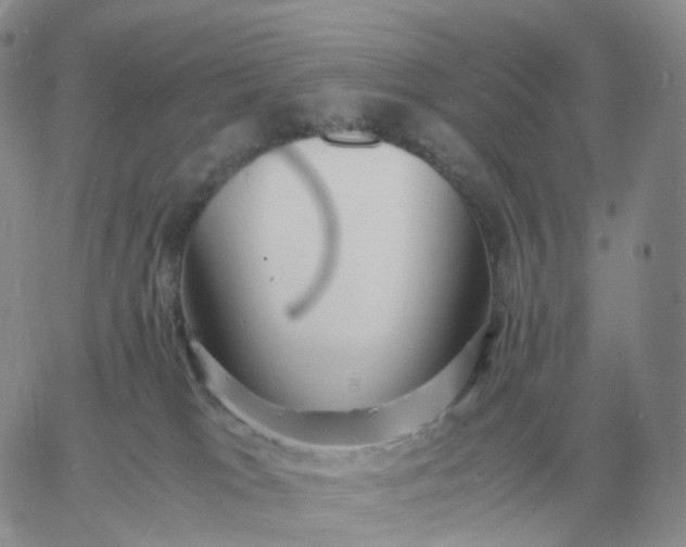 X0000060770037200511241805