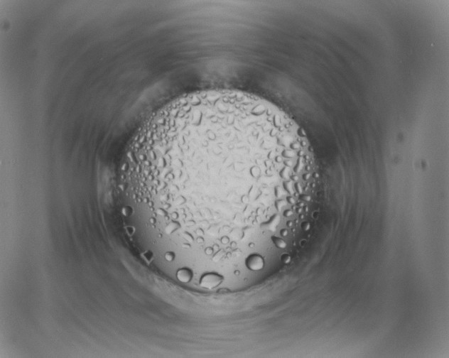 X0000060770038200511241805