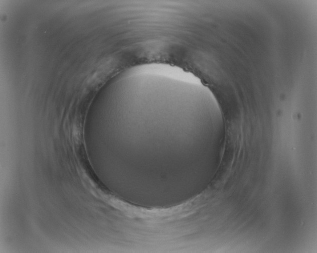 X0000060770039200511241805