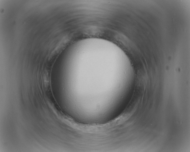 X0000060770040200511241805