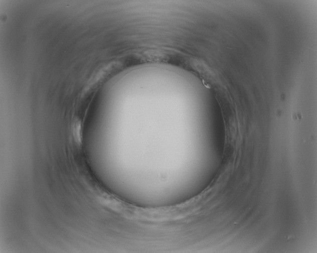 X0000060770041200511241805