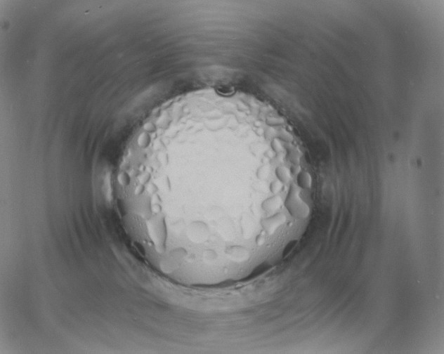 X0000060770042200511241805