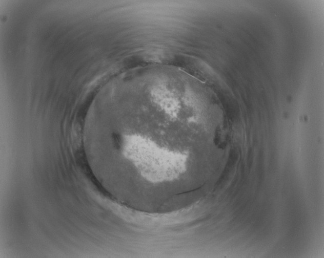 X0000060770043200511241805