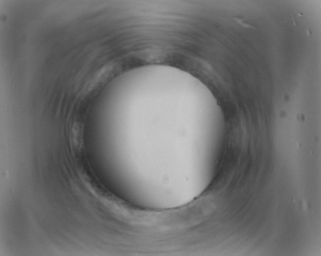 X0000060770044200511241805