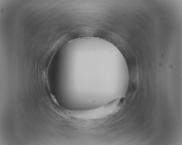 X0000060770045200511241805