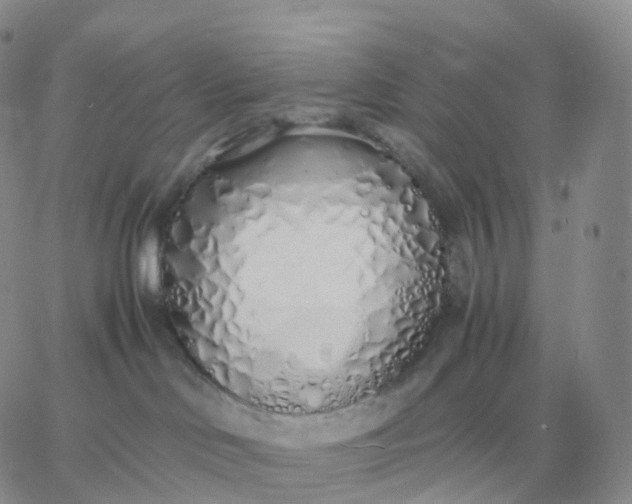 X0000060770046200511241804