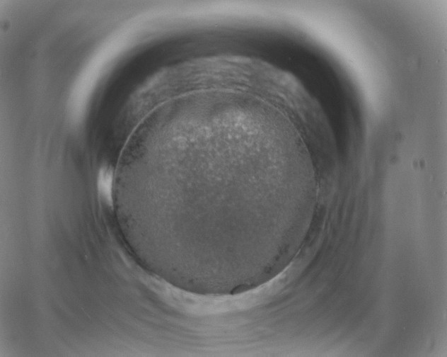 X0000060770047200511241804