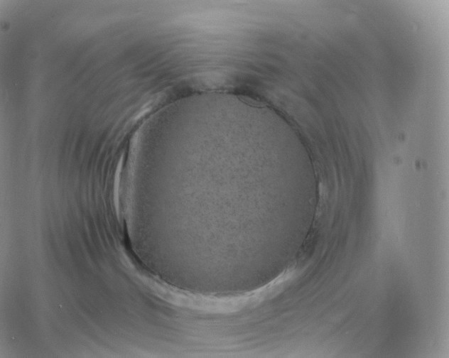 X0000060770048200511241804