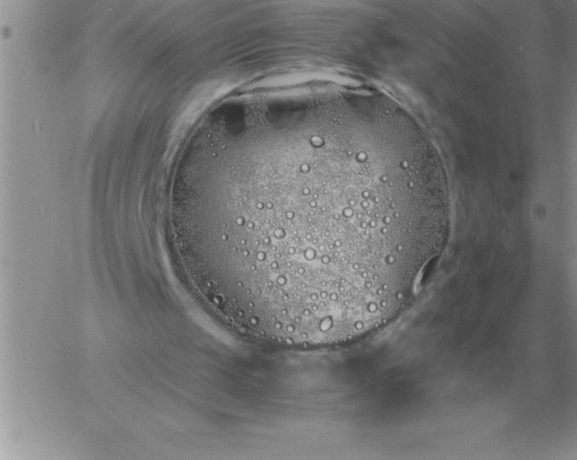 X0000060770049200511241804