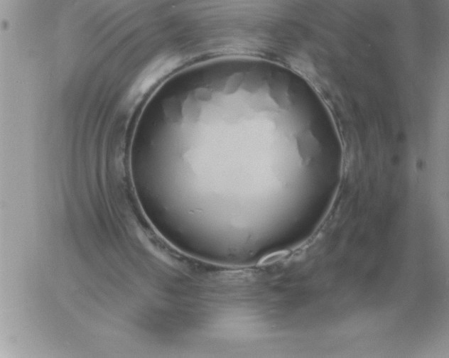 X0000060770050200511241804