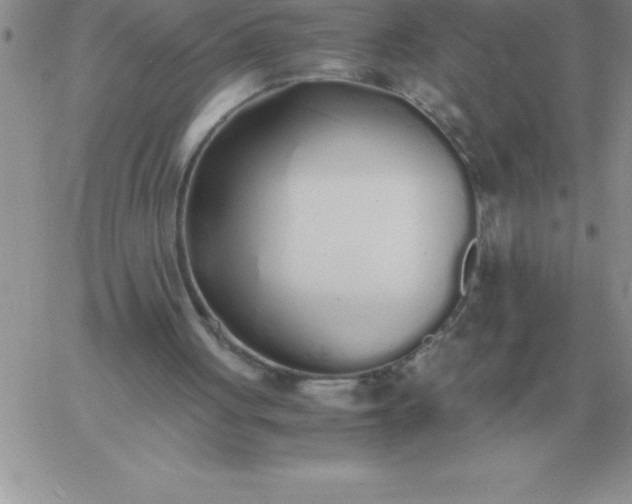 X0000060770051200511241804