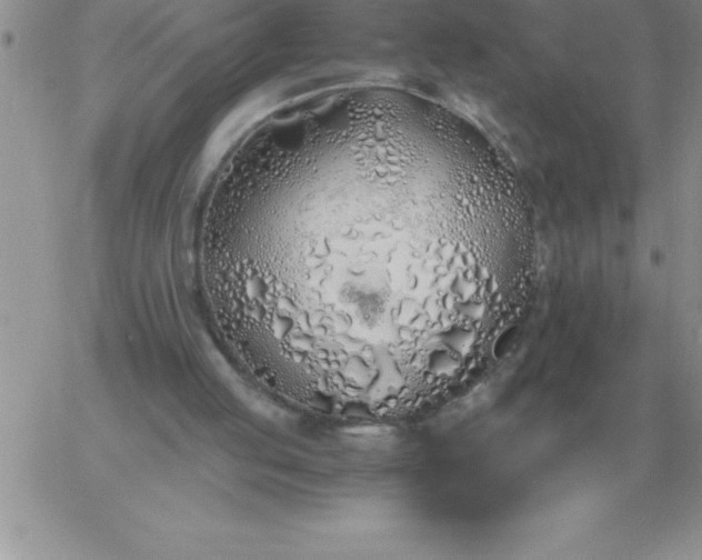 X0000060770053200511241804