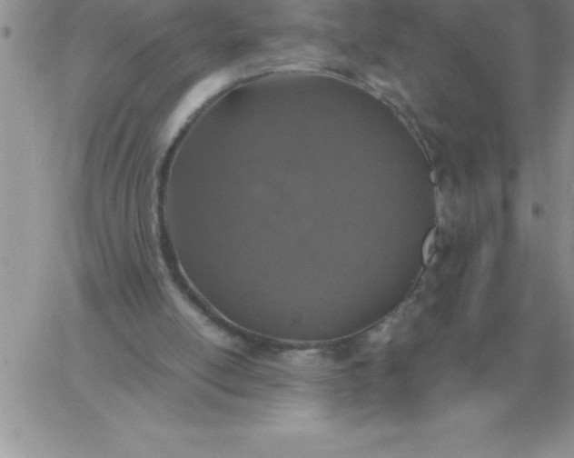 X0000060770054200511241804