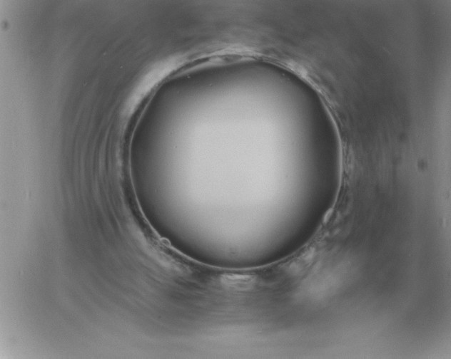 X0000060770055200511241804