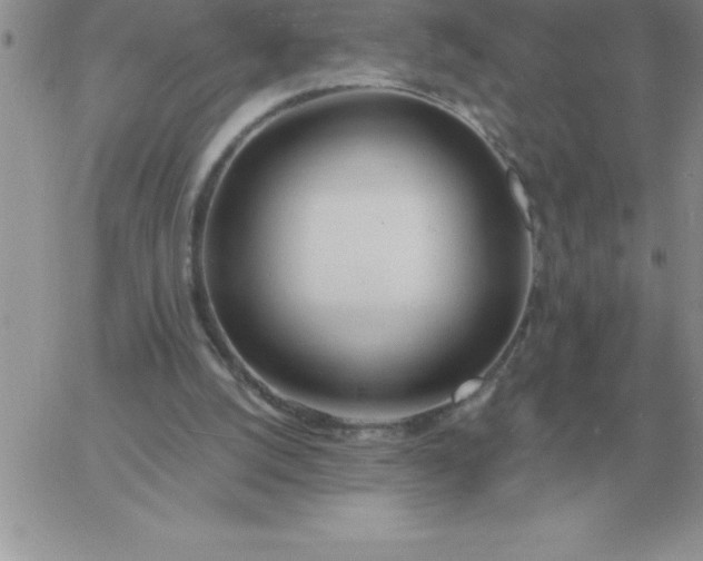 X0000060770056200511241804