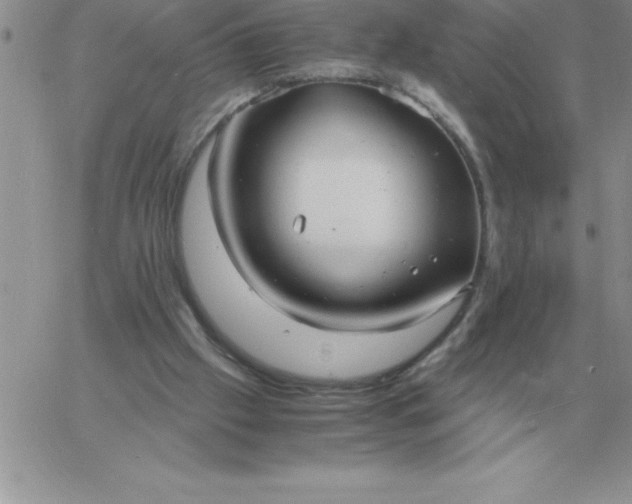 X0000060770057200511241804