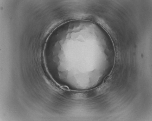 X0000060770058200511241804