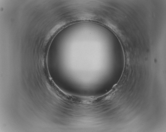 X0000060770060200511241804