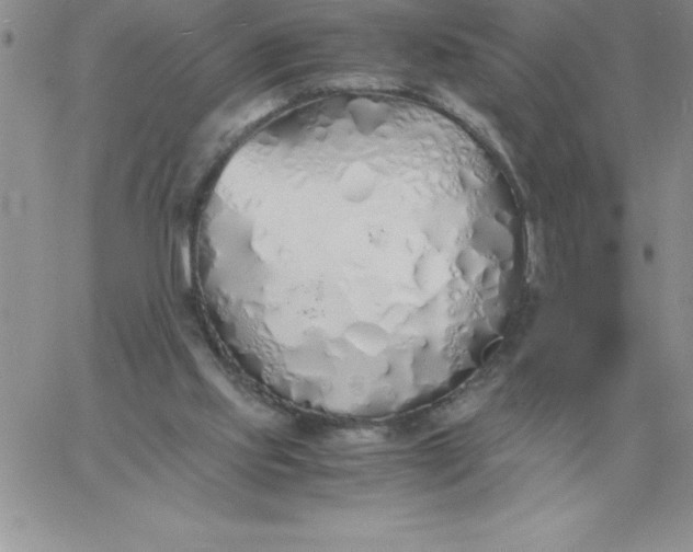 X0000060770061200511241804