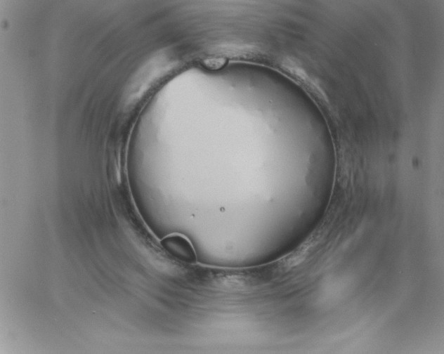 X0000060770062200511241804