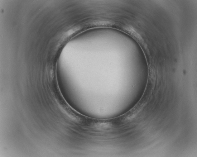 X0000060770063200511241804