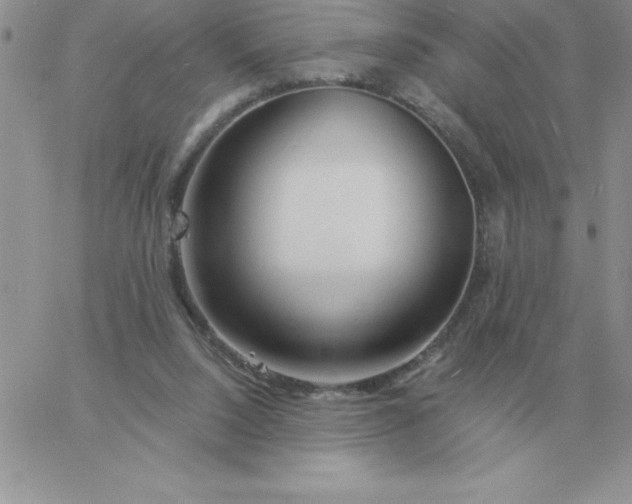 X0000060770064200511241804