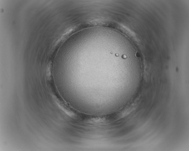 X0000060770065200511241804