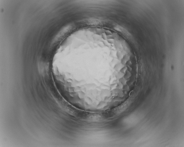 X0000060770066200511241804