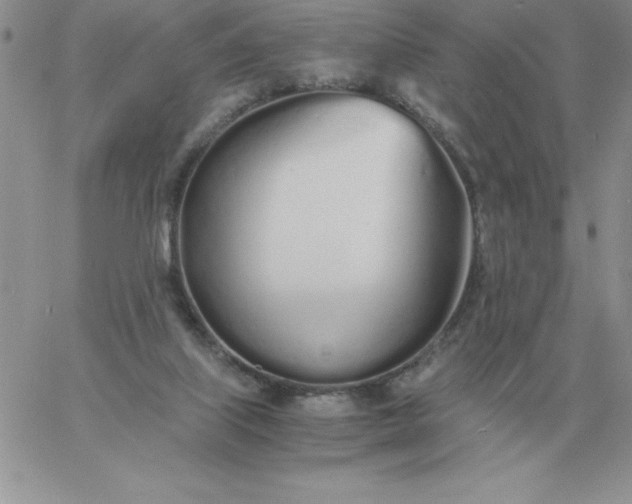 X0000060770067200511241804