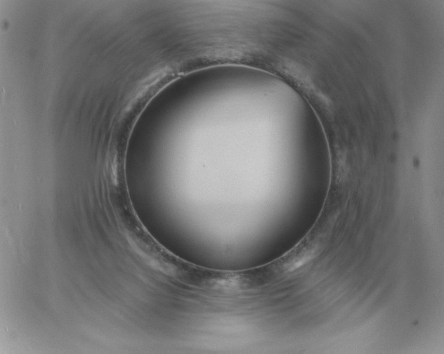 X0000060770068200511241804