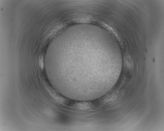 X0000060770069200511241804