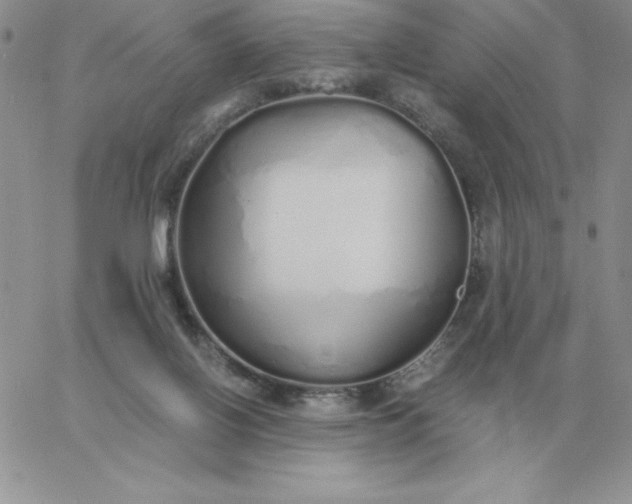 X0000060770070200511241804