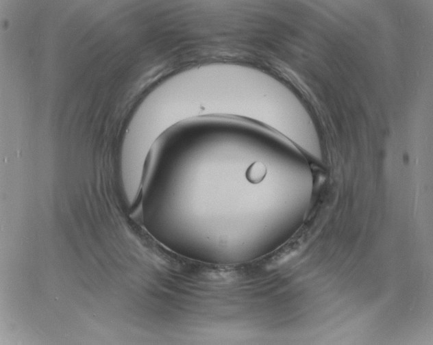 X0000060770071200511241804