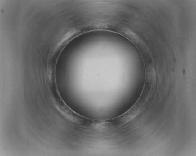 X0000060770072200511241804