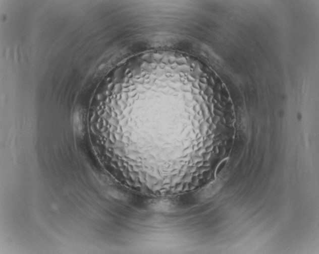 X0000060770074200511241804