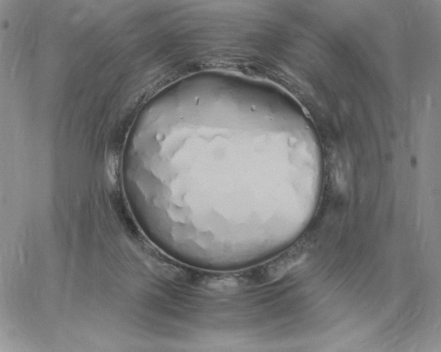 X0000060770075200511241804