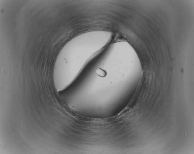 X0000060770077200511241804