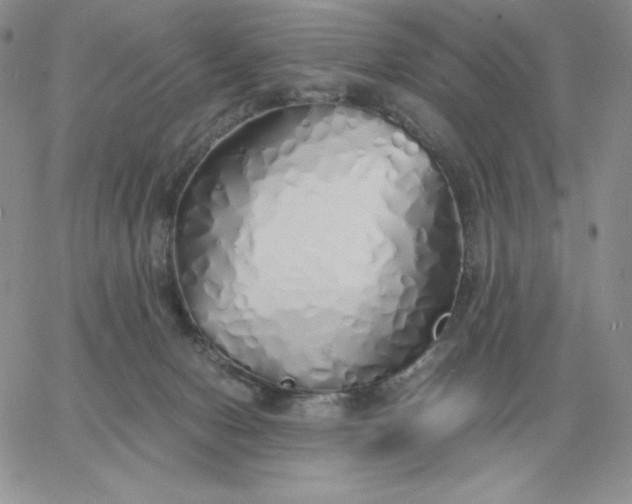 X0000060770078200511241804