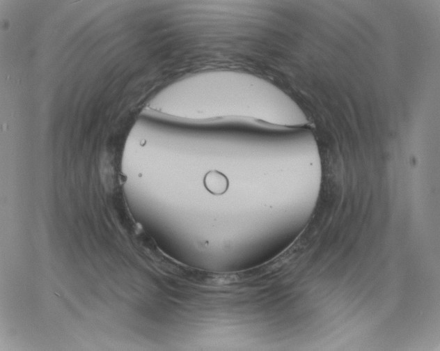 X0000060770080200511241804