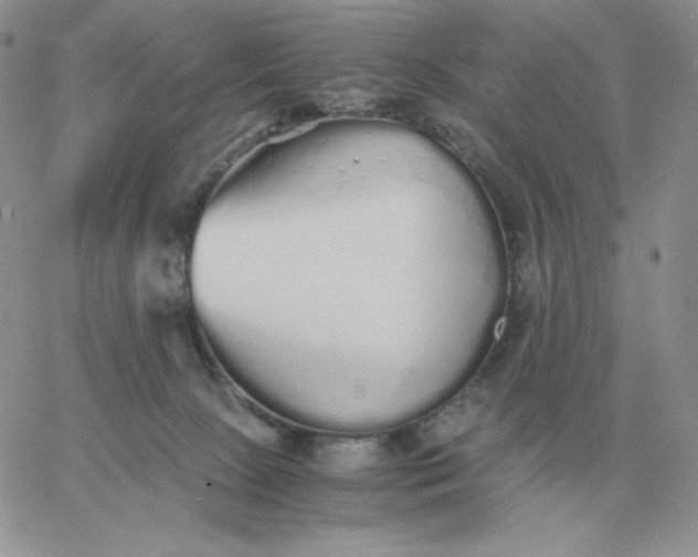 X0000060770081200511241804