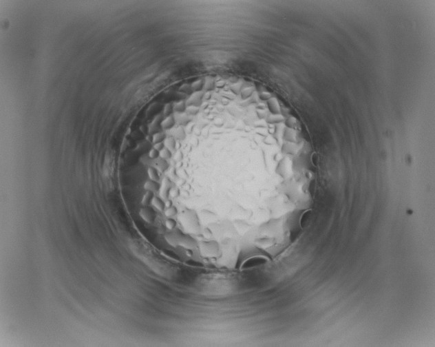 X0000060770082200511241804