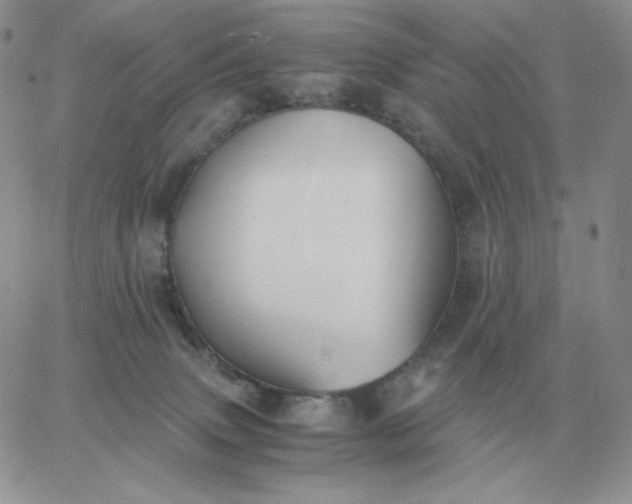 X0000060770083200511241804