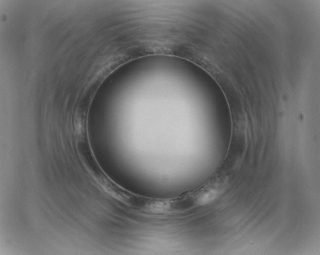 X0000060770084200511241804