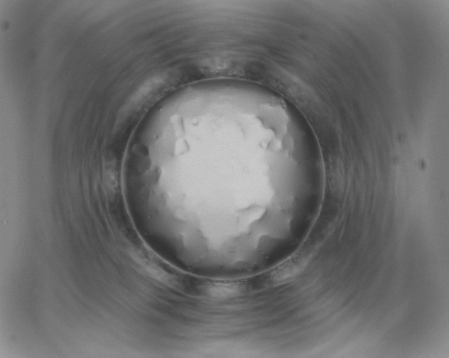 X0000060770085200511241804