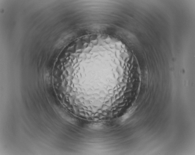 X0000060770086200511241804