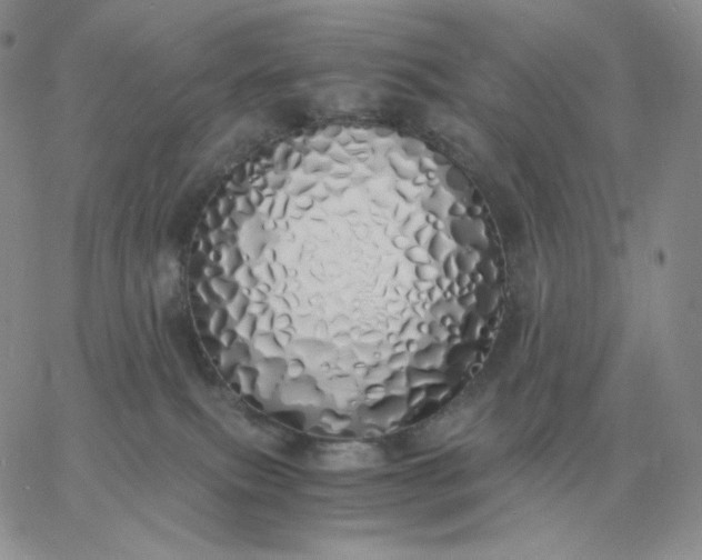 X0000060770087200511241804