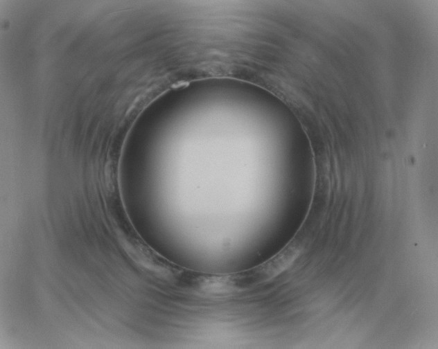 X0000060770088200511241804