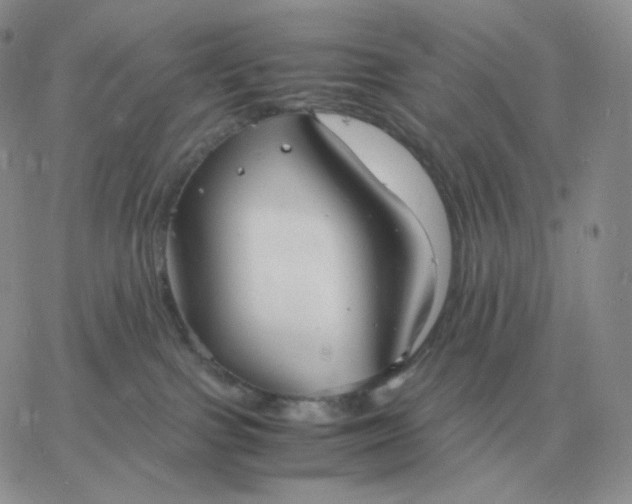 X0000060770091200511241804