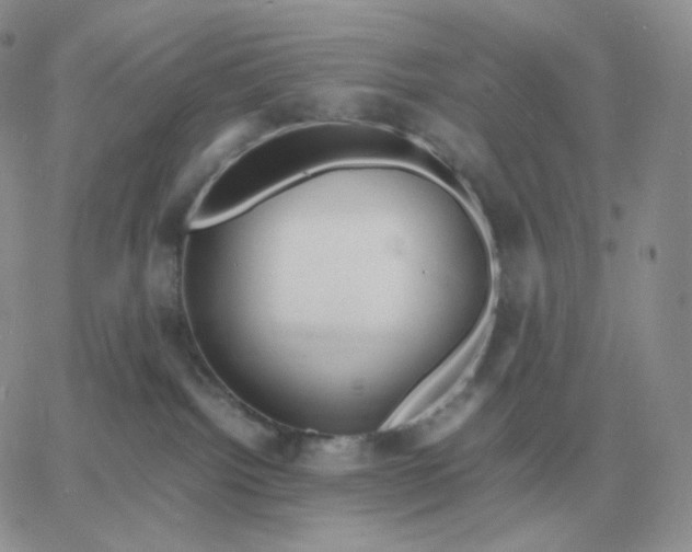 X0000060770092200511241804